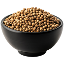 Coriander Seeds
