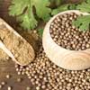 Organic Coriander Seeds